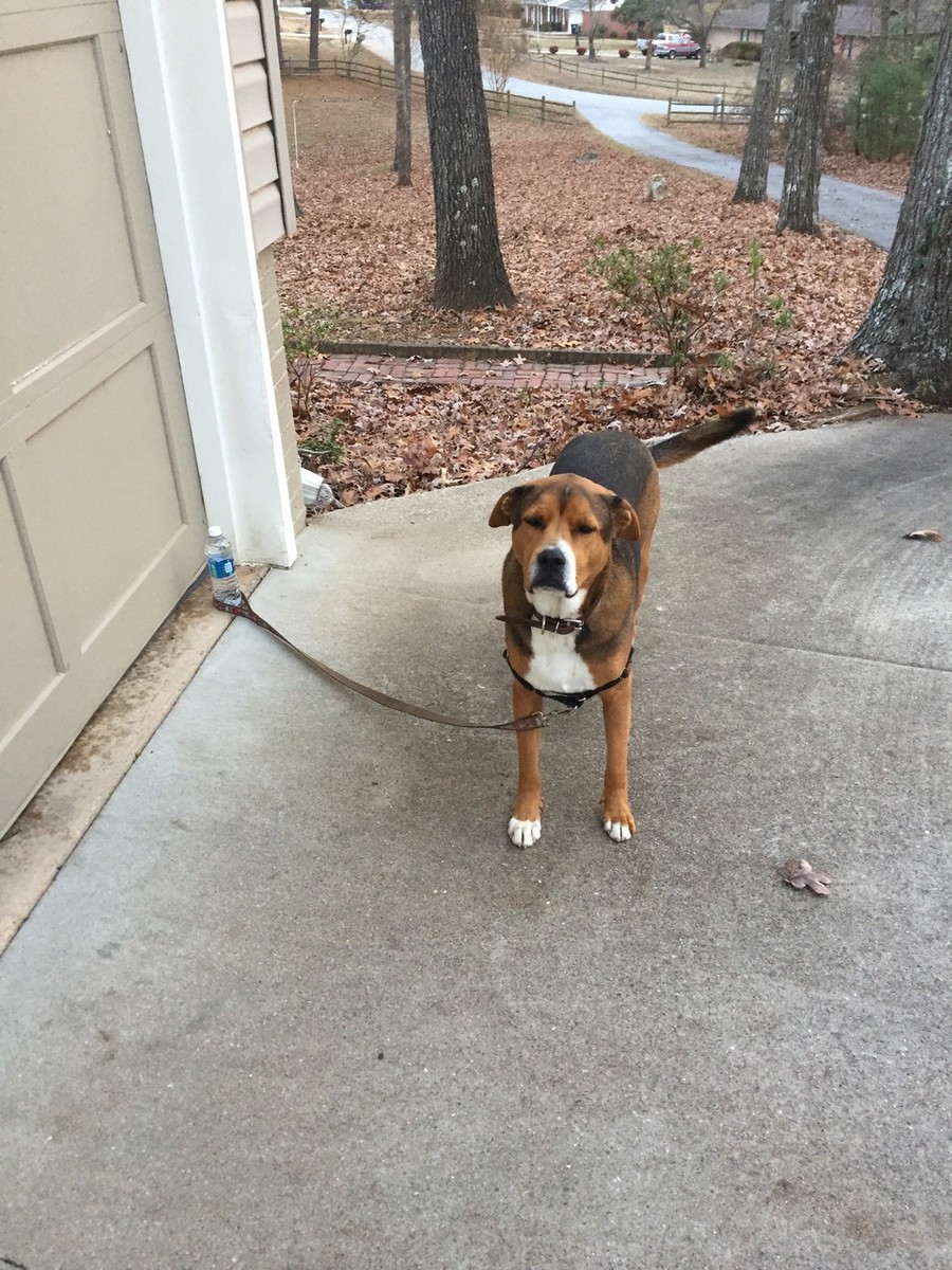 Daily Pictures. Part 1 (64 pics) Daily Pictures. Part 1 (64 pics)