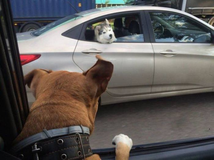 Daily Pictures. Part 1 (64 pics) Daily Pictures. Part 1 (64 pics)