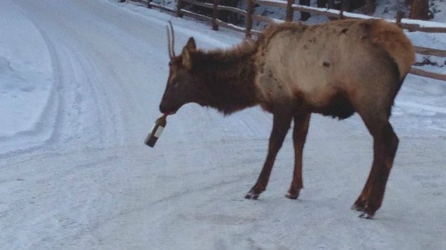 Daily Pictures. Part 1 (64 pics) Daily Pictures. Part 1 (64 pics)