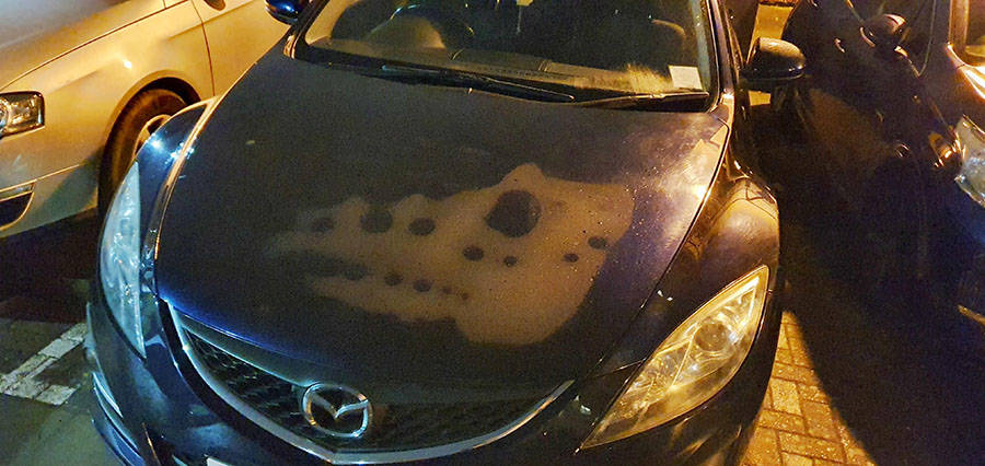 Daily Pictures. Part 1 (64 pics) Daily Pictures. Part 1 (64 pics)