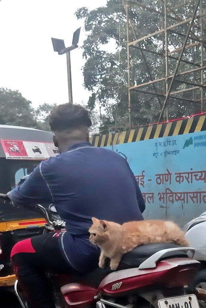 Daily Pictures. Part 1 (64 pics) Daily Pictures. Part 1 (64 pics)