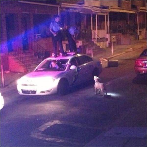 Daily Pictures. Part 1 (64 pics) Daily Pictures. Part 1 (64 pics)