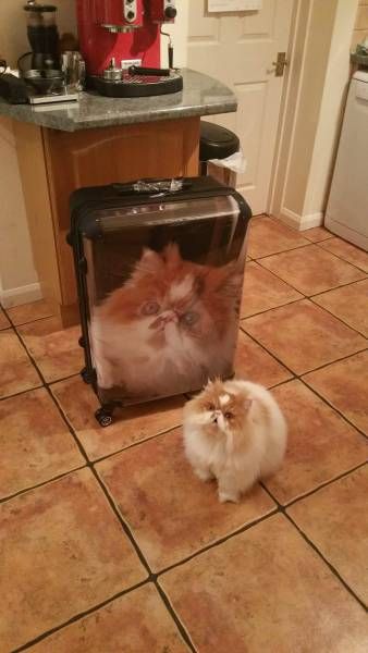 Daily Pictures. Part 1 (64 pics) Daily Pictures. Part 1 (64 pics)