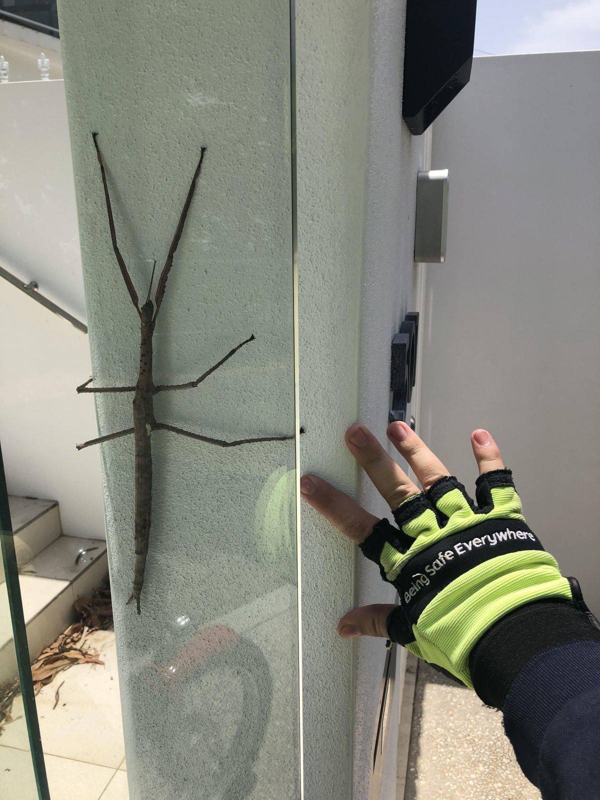 Daily Pictures. Part 2 (63 pics) Daily Pictures. Part 2 (63 pics)