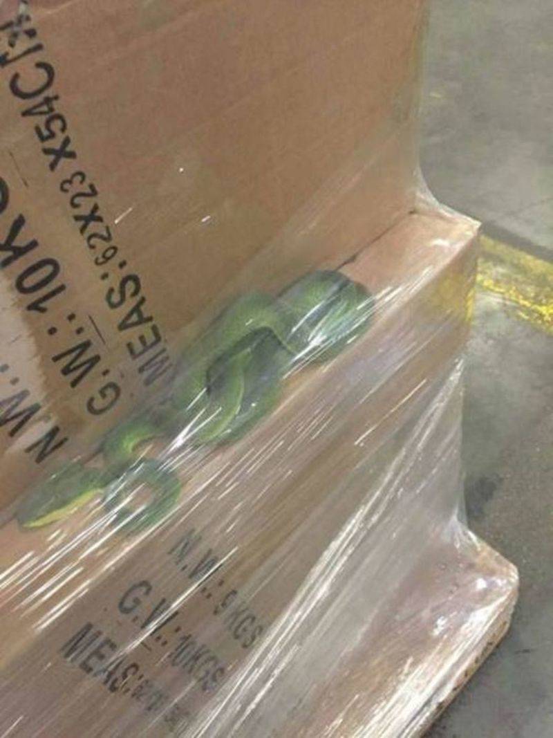 Daily Pictures. Part 1 (64 pics) Daily Pictures. Part 1 (64 pics)