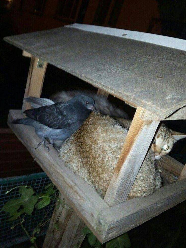 Daily Pictures. Part 2 (63 pics) Daily Pictures. Part 2 (63 pics)