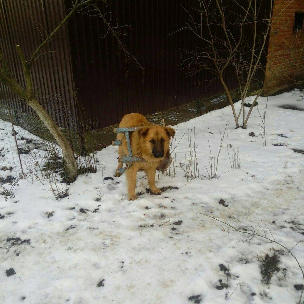 Daily Pictures. Part 2 (63 pics) Daily Pictures. Part 2 (63 pics)