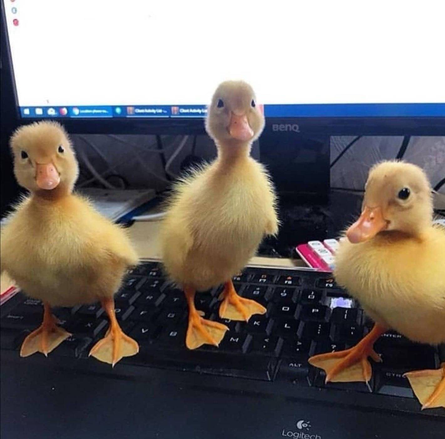 Daily Pictures. Part 1 (64 pics) Daily Pictures. Part 1 (64 pics)