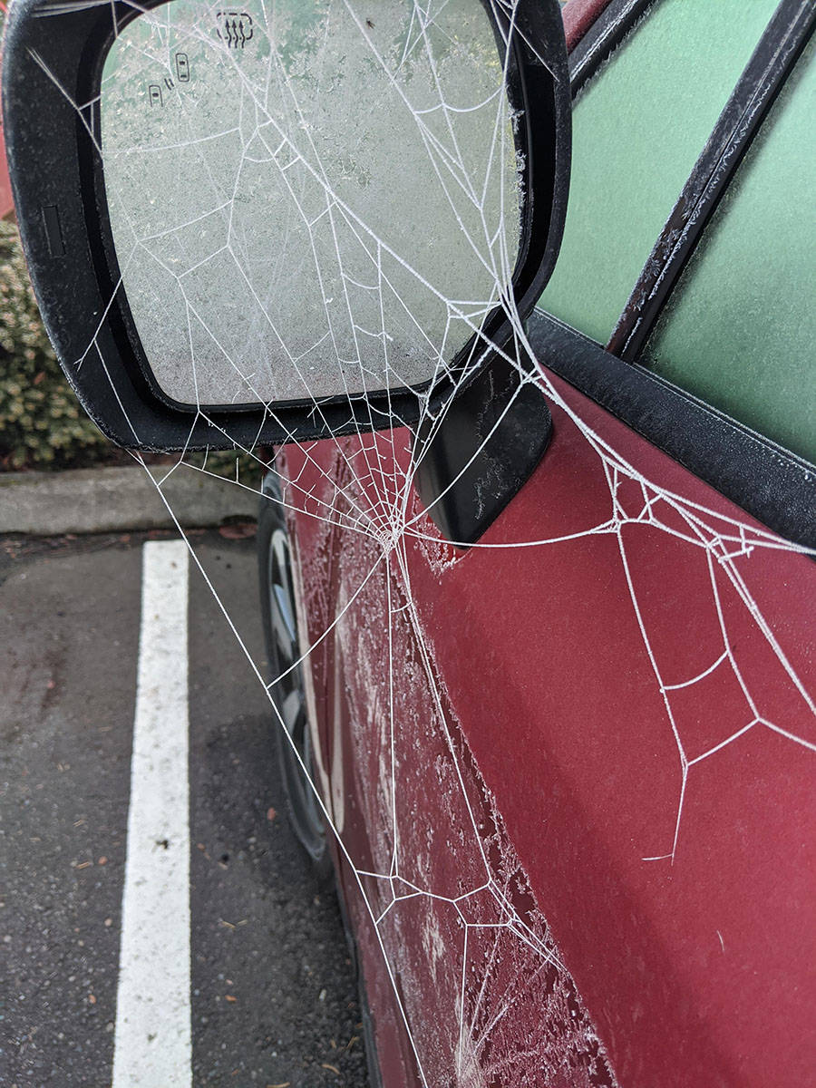 Daily Pictures. Part 1 (64 pics) Daily Pictures. Part 1 (64 pics)