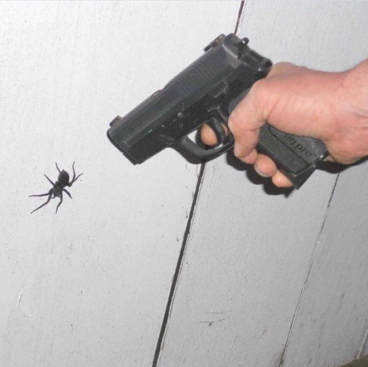 Daily Pictures. Part 1 (64 pics) Daily Pictures. Part 1 (64 pics)