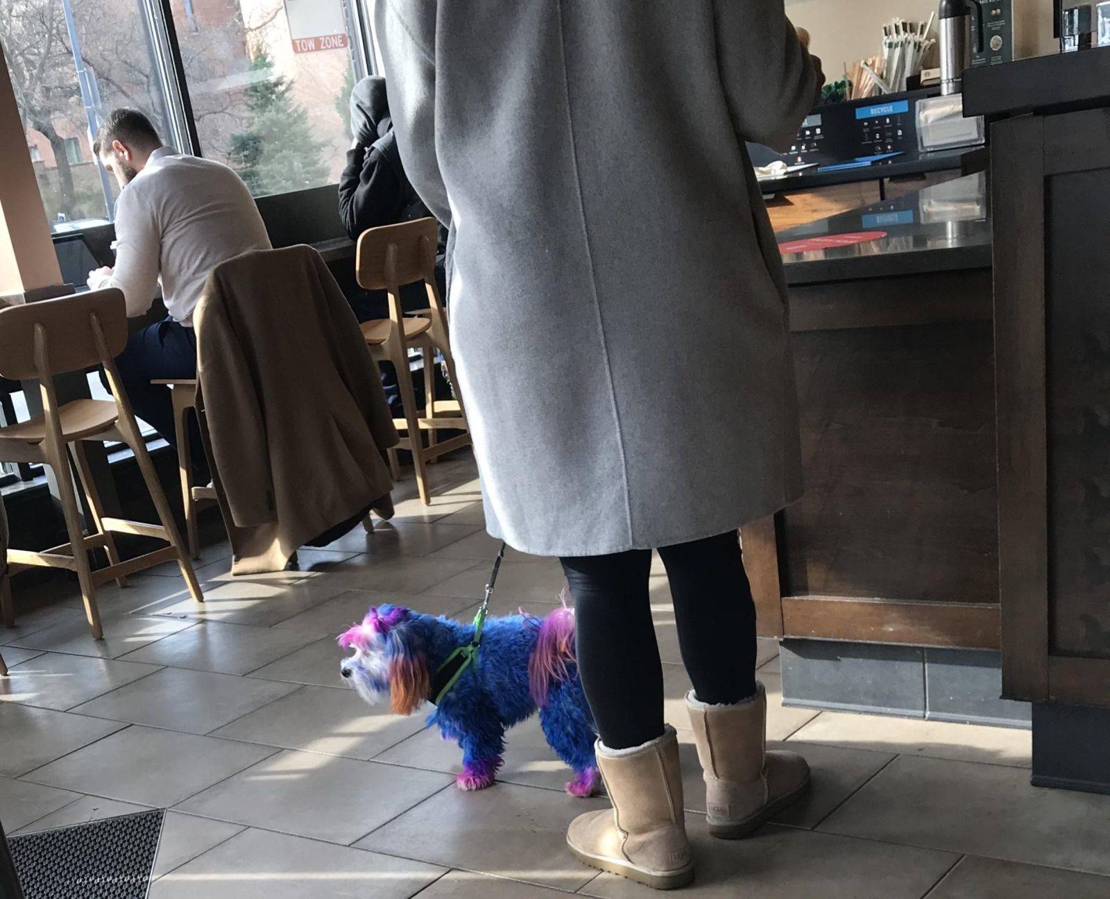 Daily Pictures. Part 1 (64 pics) Daily Pictures. Part 1 (64 pics)