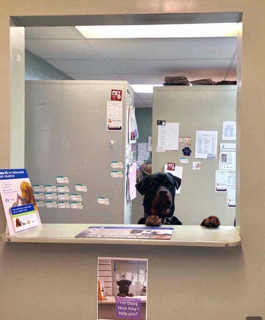 Daily Pictures. Part 1 (64 pics) Daily Pictures. Part 1 (64 pics)