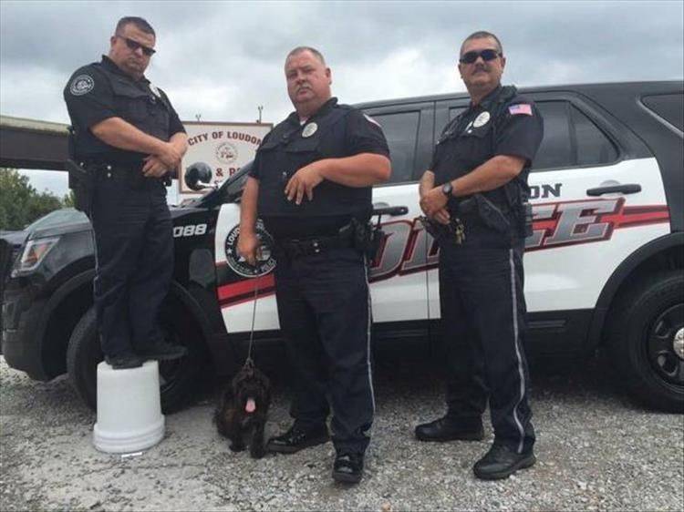 Daily Pictures. Part 1 (64 pics) Daily Pictures. Part 1 (64 pics)