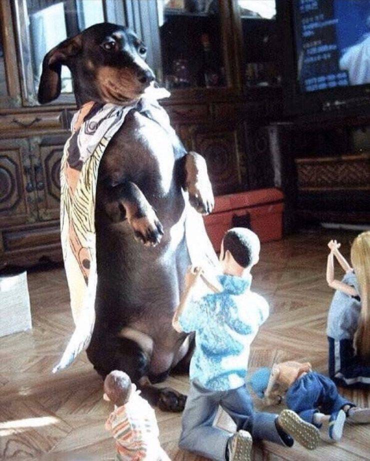 Daily Pictures. Part 1 (64 pics) Daily Pictures. Part 1 (64 pics)