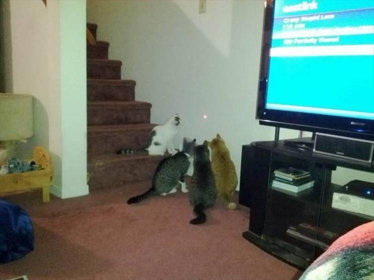 Daily Pictures. Part 1 (64 pics) Daily Pictures. Part 1 (64 pics)