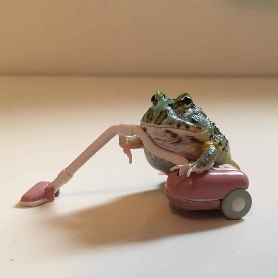 Daily Pictures. Part 2 (63 pics) Daily Pictures. Part 2 (63 pics)