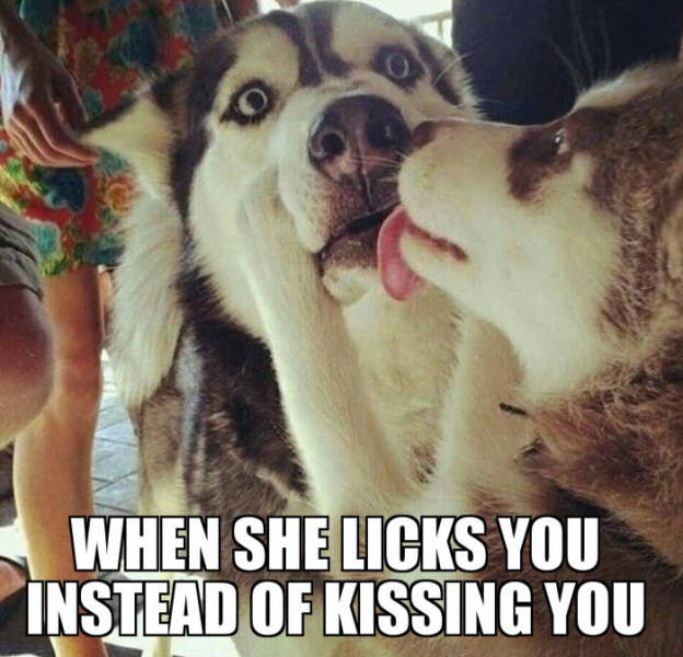 Daily Pictures. Part 2 (63 pics) Daily Pictures. Part 2 (63 pics)