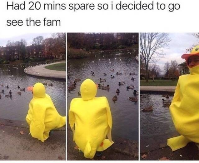 Daily Pictures. Part 2 (63 pics) Daily Pictures. Part 2 (63 pics)