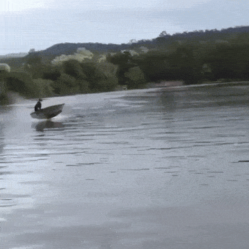 Acid GIFs, December 16 (25 gifs)