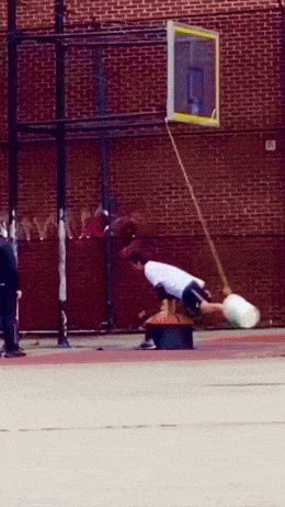 Acid GIFs, December 16 (25 gifs)