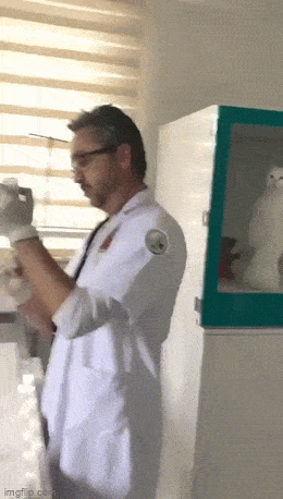 Acid GIFs, December 16 (25 gifs)