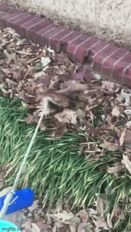 Acid GIFs, December 16 (25 gifs)