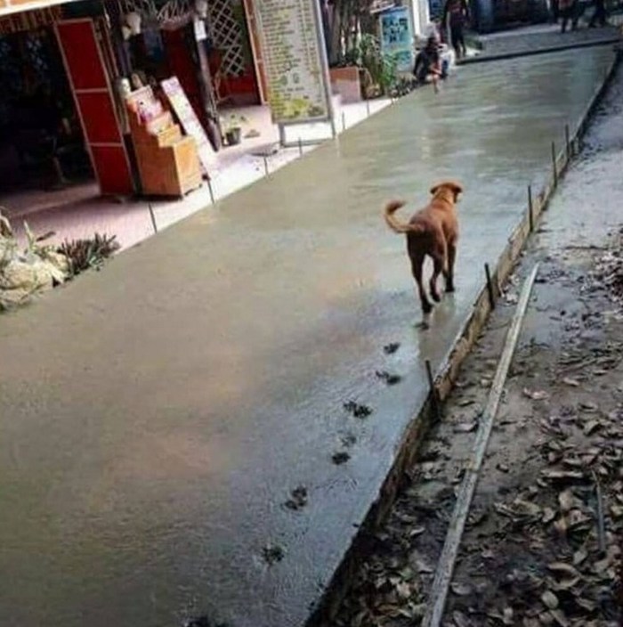 Unfortunate Situations (21 pics) Unfortunate Situations (21 pics)