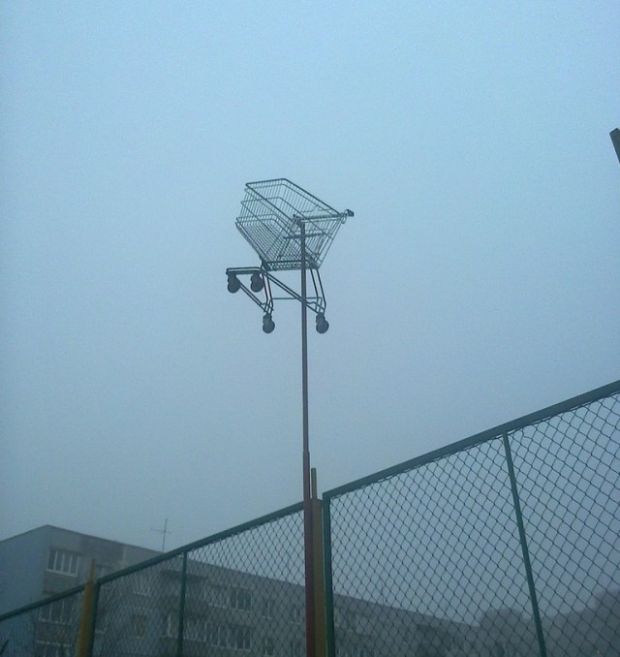 Daily Pictures. Part 1 (65 pics) Daily Pictures. Part 1 (65 pics)