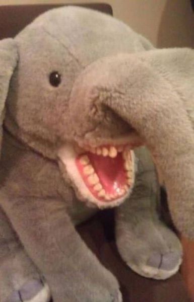 Daily Pictures. Part 1 (65 pics) Daily Pictures. Part 1 (65 pics)