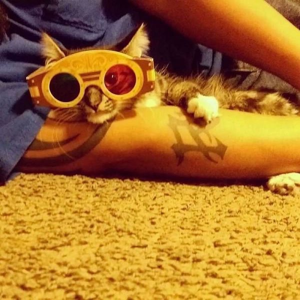 Daily Pictures. Part 1 (65 pics) Daily Pictures. Part 1 (65 pics)