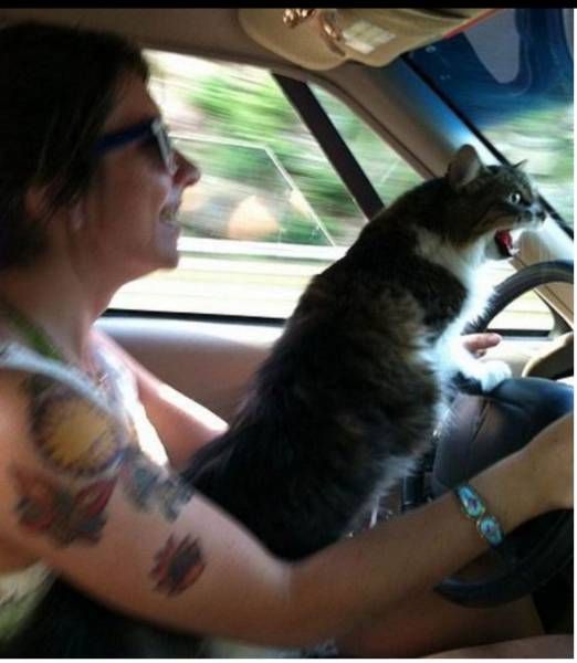 Daily Pictures. Part 2 (64 pics)