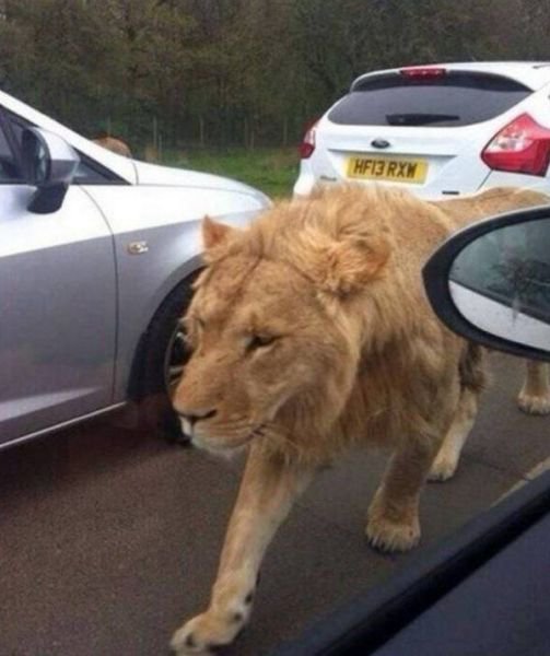 Daily Pictures. Part 1 (65 pics) Daily Pictures. Part 1 (65 pics)