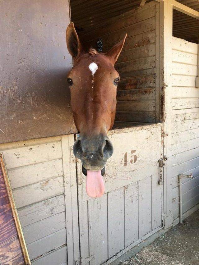 Daily Pictures. Part 2 (64 pics)