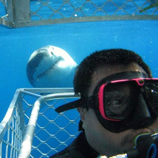 Daily Pictures. Part 1 (65 pics) Daily Pictures. Part 1 (65 pics)