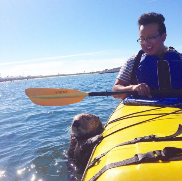 Daily Pictures. Part 1 (65 pics) Daily Pictures. Part 1 (65 pics)