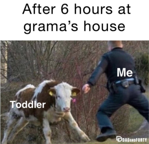 Daily Pictures. Part 2 (64 pics)