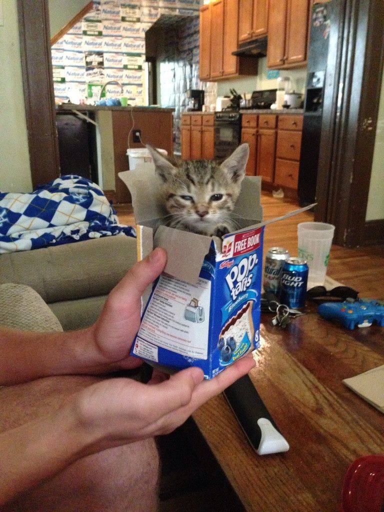 Daily Pictures. Part 2 (64 pics)