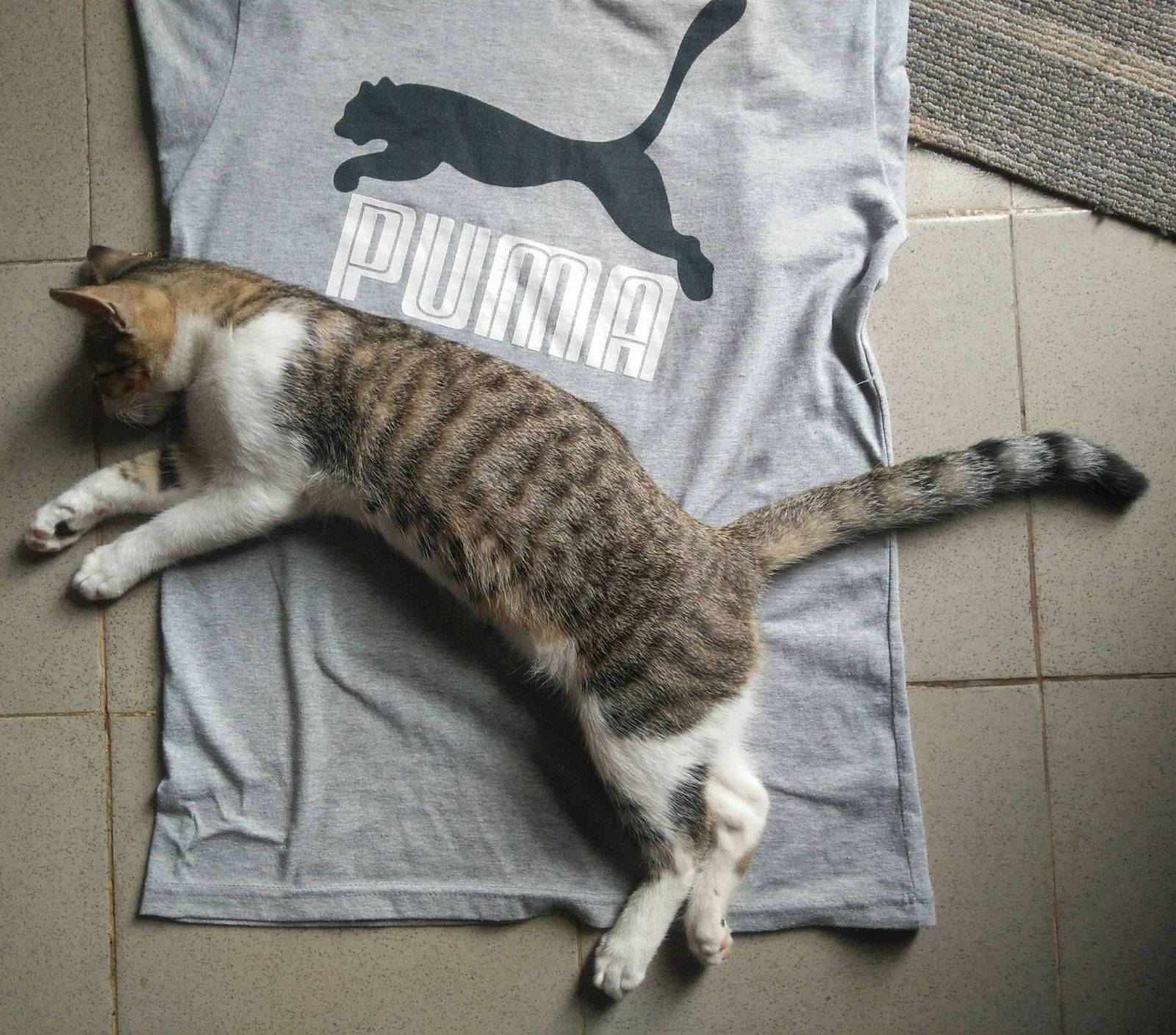 Daily Pictures. Part 2 (64 pics)