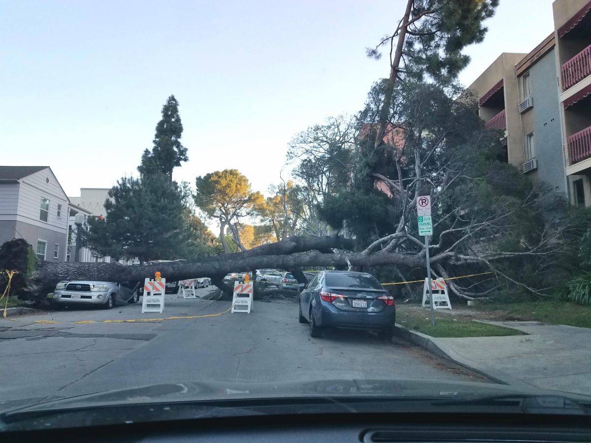 Daily Pictures. Part 2 (64 pics)