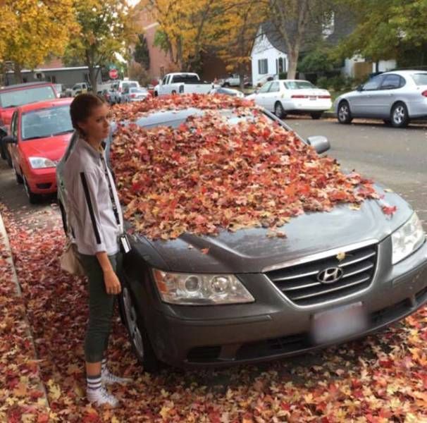 Daily Pictures. Part 2 (64 pics)