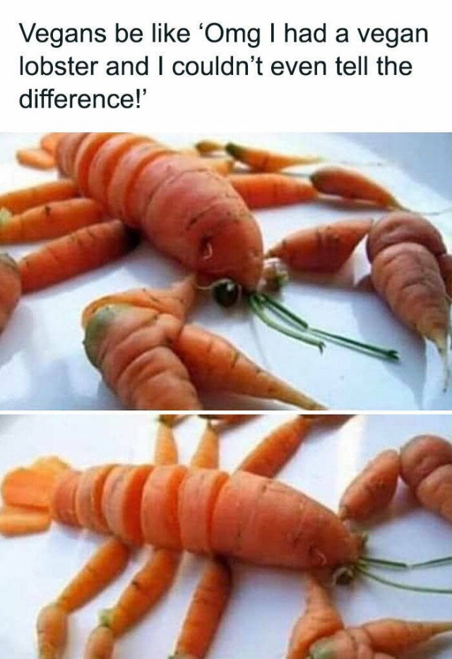 Daily Pictures. Part 2 (64 pics)