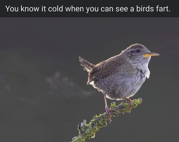 Daily Pictures. Part 2 (64 pics)