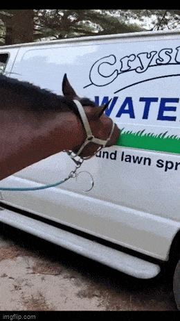 Acid GIFs, December 17 (25 gifs)