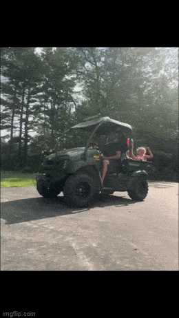 Acid GIFs, December 17 (25 gifs)