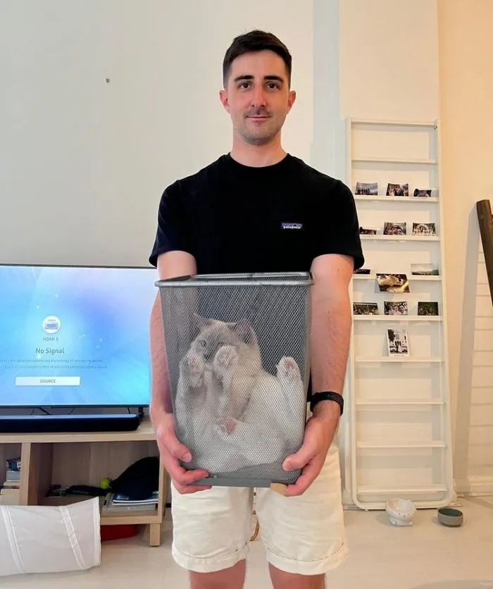 Funny Cats (15 pics) Funny Cats (15 pics)