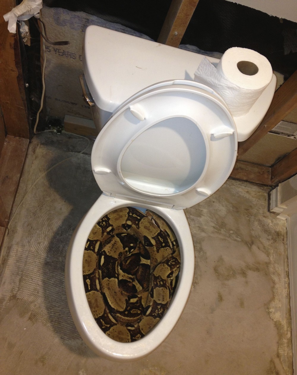 Bad Days Happen (25 pics) Bad Days Happen (25 pics)