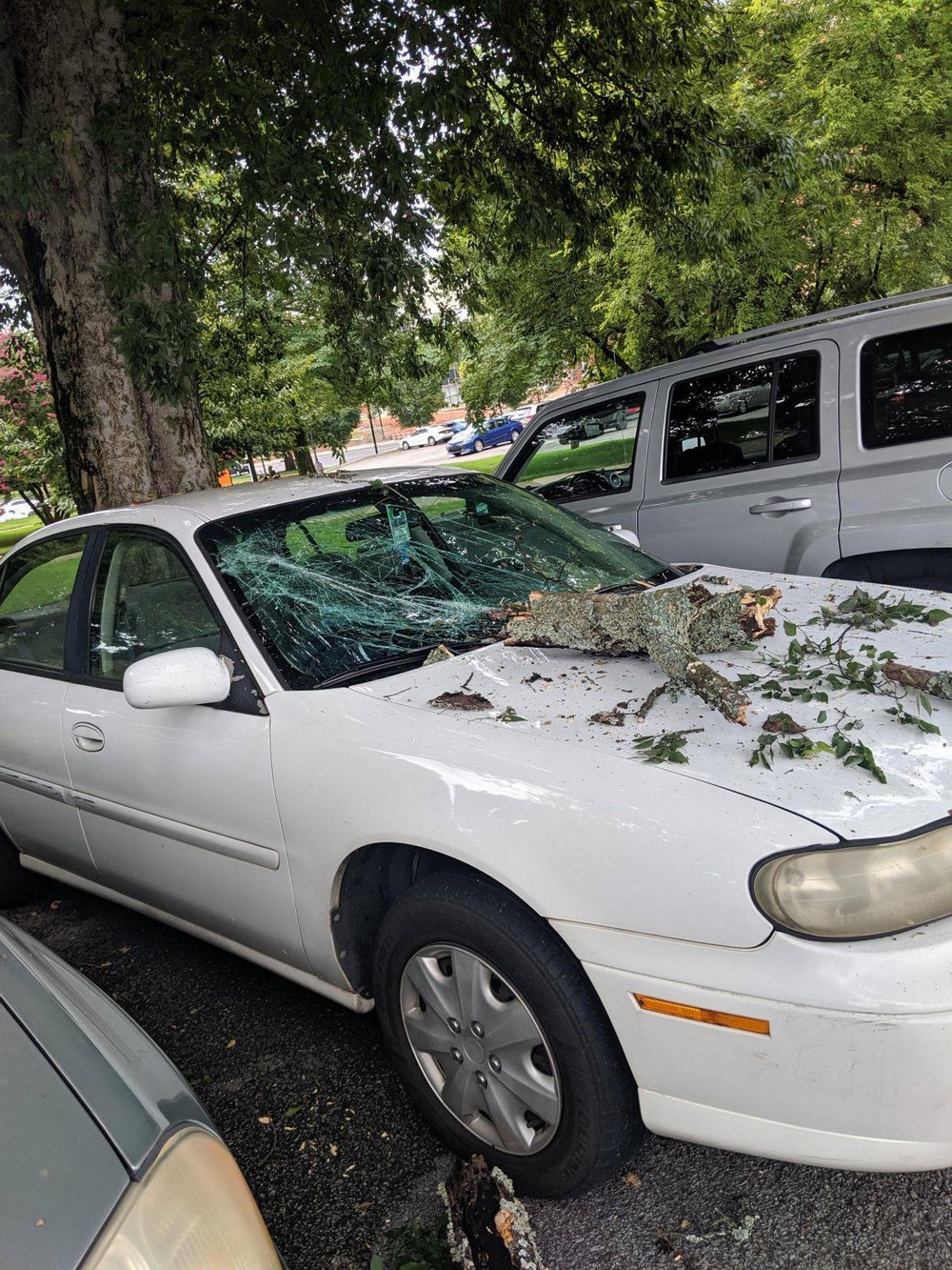 Bad Days Happen (25 pics) Bad Days Happen (25 pics)