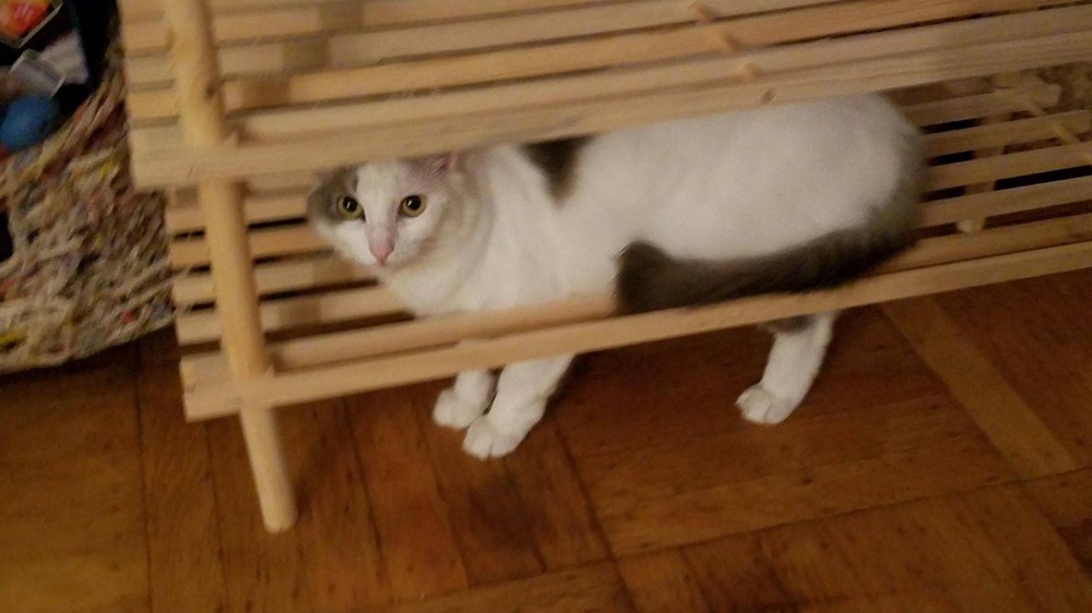 Unfortunate Situations (21 pics) Unfortunate Situations (21 pics)