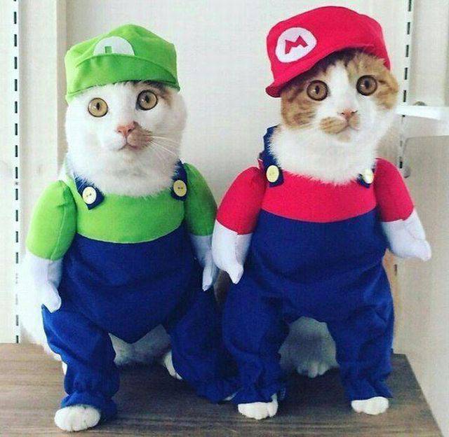 Daily Pictures. Part 1 (61 pics) Daily Pictures. Part 1 (61 pics)