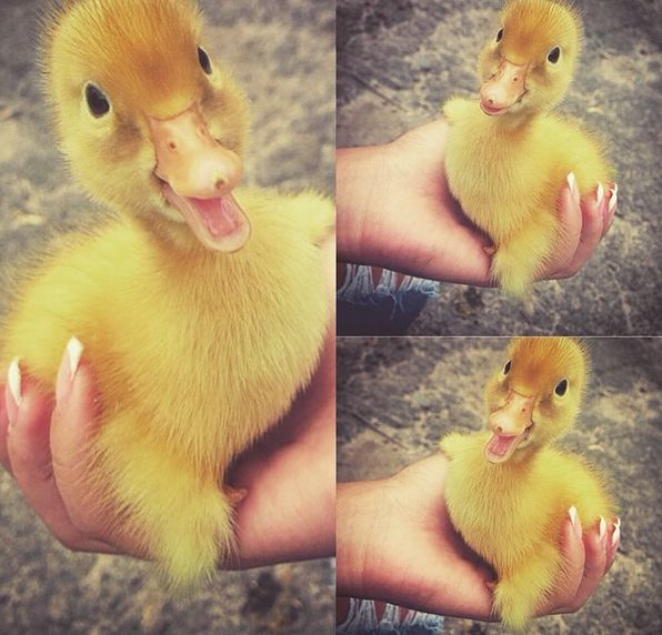 Daily Pictures. Part 1 (61 pics) Daily Pictures. Part 1 (61 pics)